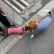 ストライプ リブ ロンパース / Striped Onesies