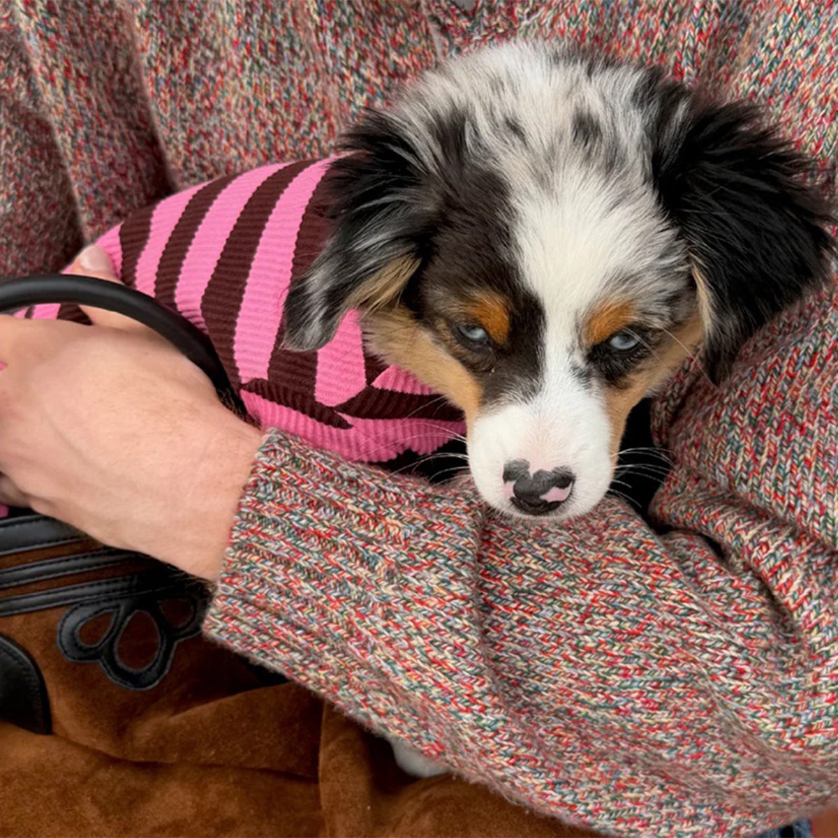 2026ss_0000_little-beast-cheshire-onesie-dog-stripe-onesie-1235136575_x1024_progressive_jpg.jpg