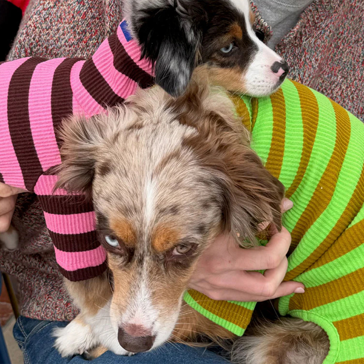 2026ss_0004_little-beast-fresh-grass-onesie-dog-stripe-onesie-1235136572_x1024_progressive__jpg.jpg