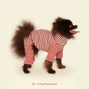 【2025年新作】ストライプ リブ ロンパース Earth and Fire / Striped Onesies