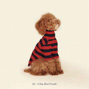 【2025新作】ストライプ リブ プルオーバー Ivy League / Striped sweatshirt