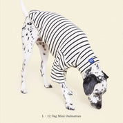 【2025新作】ストライプ リブ プルオーバー World's Your Oyster / Striped sweatshirt