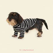 【2025新作】ストライプ リブ プルオーバー Café in Paris / Striped sweatshirt