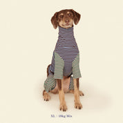 【2025年新作】ストライプ リブ ロンパース Earth and Sky / Striped Onesies