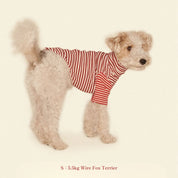 【2025新作】ストライプ リブ プルオーバー Earth and Fire / Striped sweatshirt