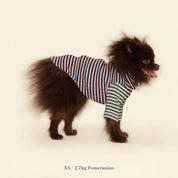 【2025新作】ストライプ リブ プルオーバー Earth and Sky / Striped sweatshirt