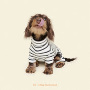 【2025年新作】ストライプ リブ ロンパース World's Your Oyster / Striped Onesies