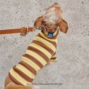 【2025新作】ストライプ リブ プルオーバー Dijon / Striped sweatshirt