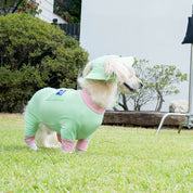 【2025新色】サマーロンパース ミント / outside + jumpsuit