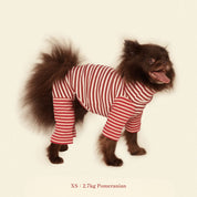 【2025年新作】ストライプ リブ ロンパース Earth and Fire / Striped Onesies