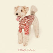 【2025新作】ストライプ リブ プルオーバー Earth and Fire / Striped sweatshirt