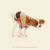 アーガイルセーター / Lauda Cardi Cirque Sweater x Lisa Says Gah