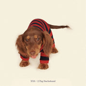 【2025年新作】ストライプ リブ ロンパース Ivy League / Striped Onesies