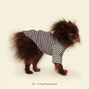 【2025新作】ストライプ リブ プルオーバー Earth and Sky / Striped sweatshirt