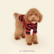 【2025新作】ストライプ リブ プルオーバー Ivy League / Striped sweatshirt