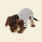 【2025年新作】ストライプ リブ ロンパース World's Your Oyster / Striped Onesies