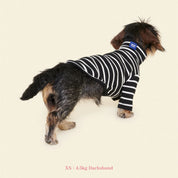 【2025新作】ストライプ リブ プルオーバー Café in Paris / Striped sweatshirt