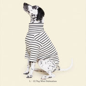 【2025新作】ストライプ リブ プルオーバー World's Your Oyster / Striped sweatshirt