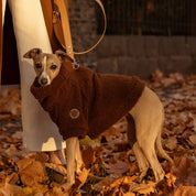 【2025年新作】テディベアプルオーバー ブラウン ベア / Teddy Jumper