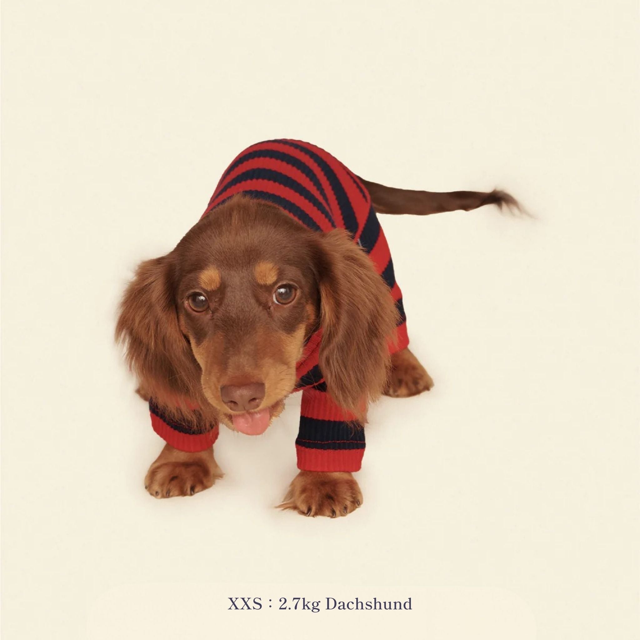 【2025年新作】ストライプ リブ ロンパース Ivy League / Striped Onesies