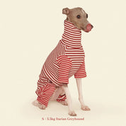 【2025年新作】ストライプ リブ ロンパース Earth and Fire / Striped Onesies