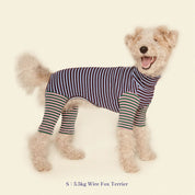 【2025年新作】ストライプ リブ ロンパース Earth and Sky / Striped Onesies