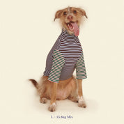 【2025新作】ストライプ リブ プルオーバー Earth and Sky / Striped sweatshirt