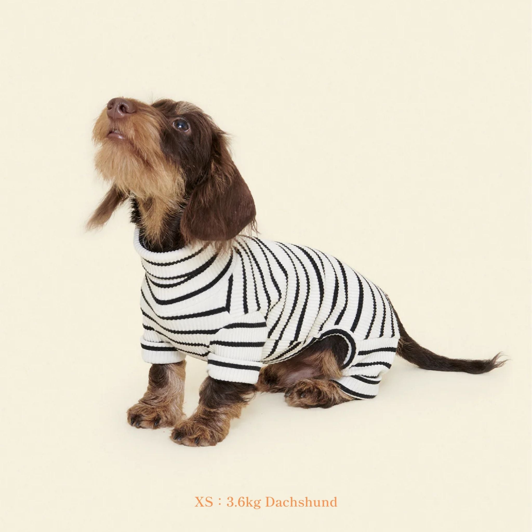 【2025年新作】ストライプ リブ ロンパース World's Your Oyster / Striped Onesies