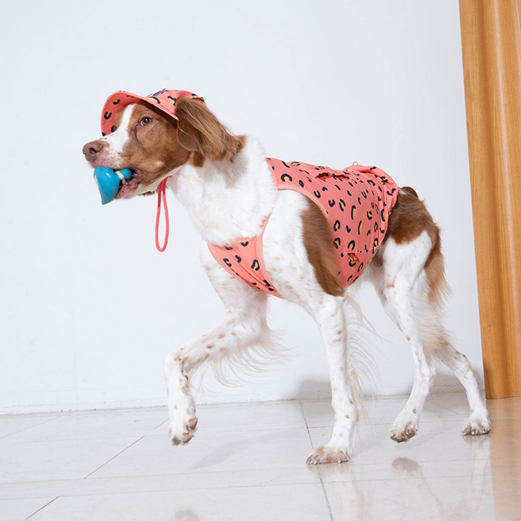 【2025新色】サマータンクトップ パンサー コーラル / Little panther cooling tank top