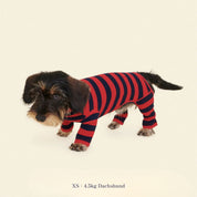 【2025年新作】ストライプ リブ ロンパース Ivy League / Striped Onesies