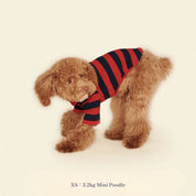 【2025新作】ストライプ リブ プルオーバー Ivy League / Striped sweatshirt