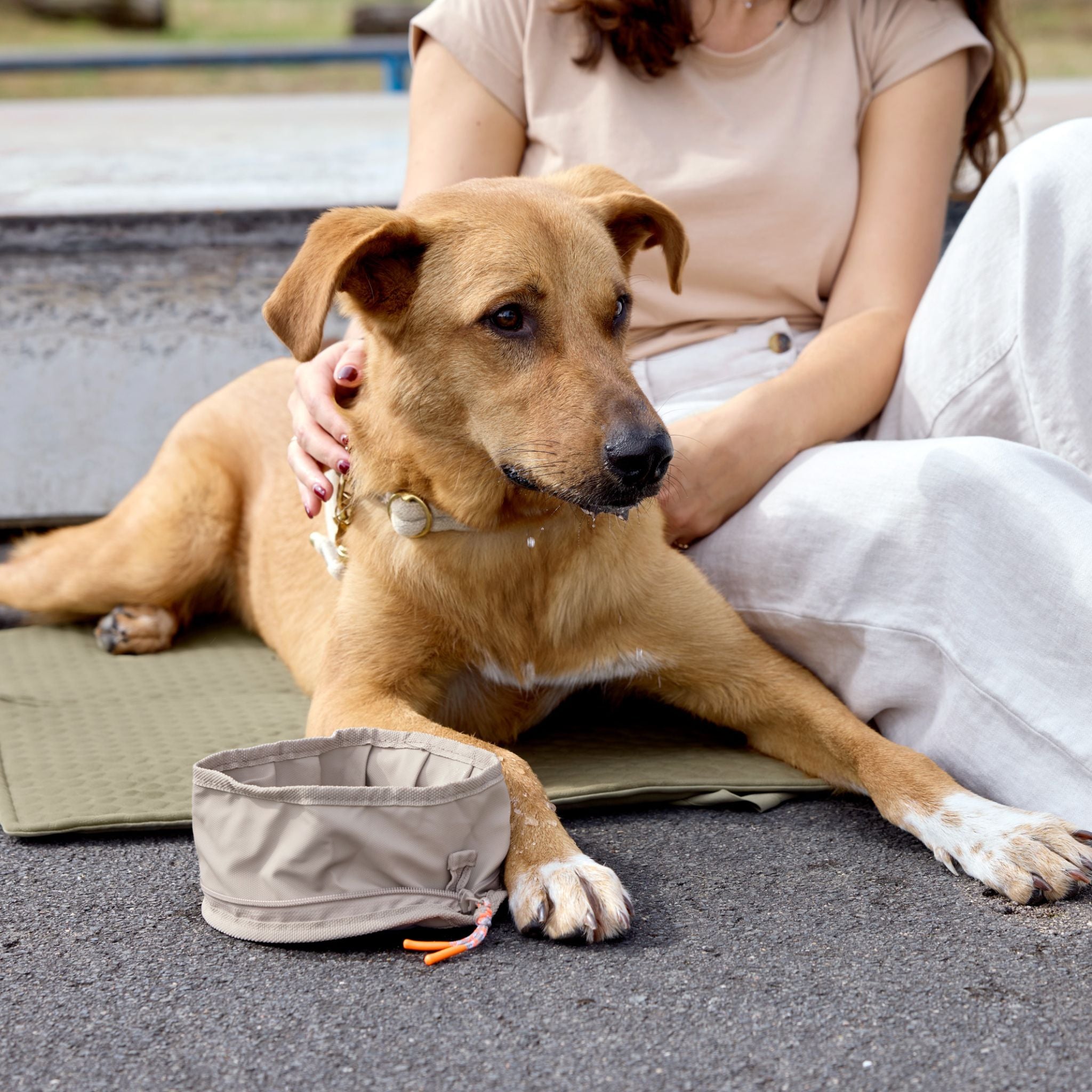 おでかけ用ドッグボウル チャコールグレー / Dog Bowl To Go
