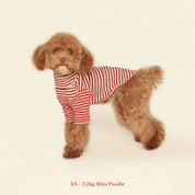 【2025新作】ストライプ リブ プルオーバー Earth and Fire / Striped sweatshirt