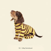 【2025年新作】ストライプ リブ ロンパース Dijon / Striped Onesies