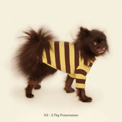 【2025新作】ストライプ リブ プルオーバー Dijon / Striped sweatshirt