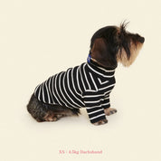 【2025新作】ストライプ リブ プルオーバー Café in Paris / Striped sweatshirt