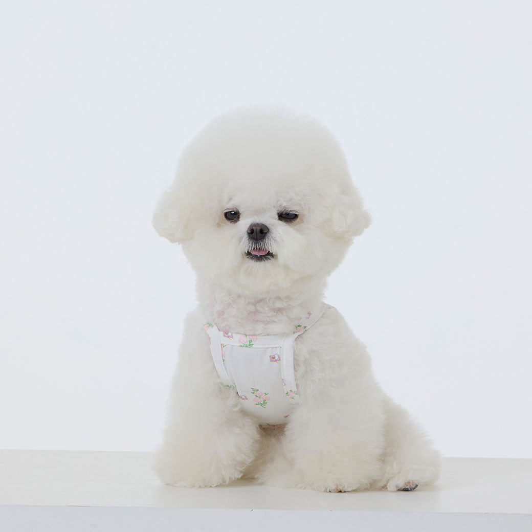 UPF50＋ クールフリル タンクトップ ホワイト / Cool Frill T White