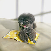 パンジークールマット / Pensee Cool Mat