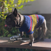 バイカラーセーター / Bicoloured Bands Dog Sweater