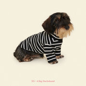 【2025新作】ストライプ リブ プルオーバー Café in Paris / Striped sweatshirt