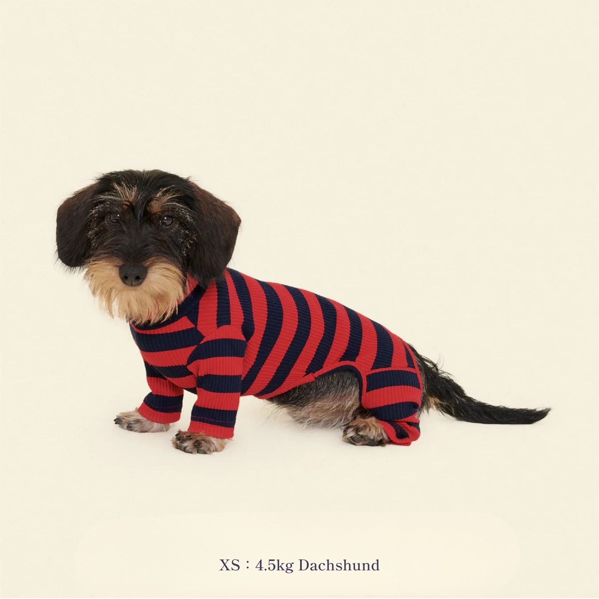 【2025年新作】ストライプ リブ ロンパース Ivy League / Striped Onesies