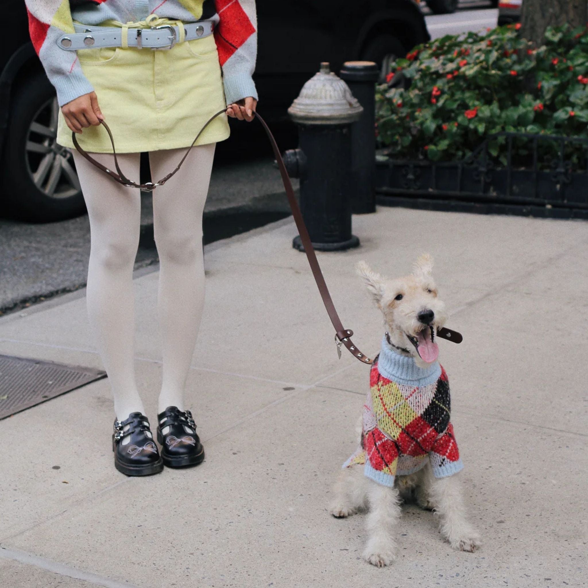 アーガイルセーター / Lauda Cardi Cirque Sweater x Lisa Says Gah