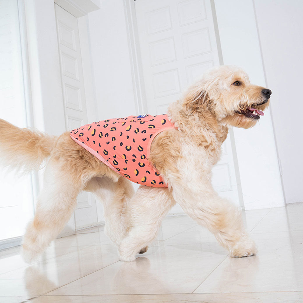 【2025新色】サマータンクトップ パンサー コーラル / Little panther cooling tank top