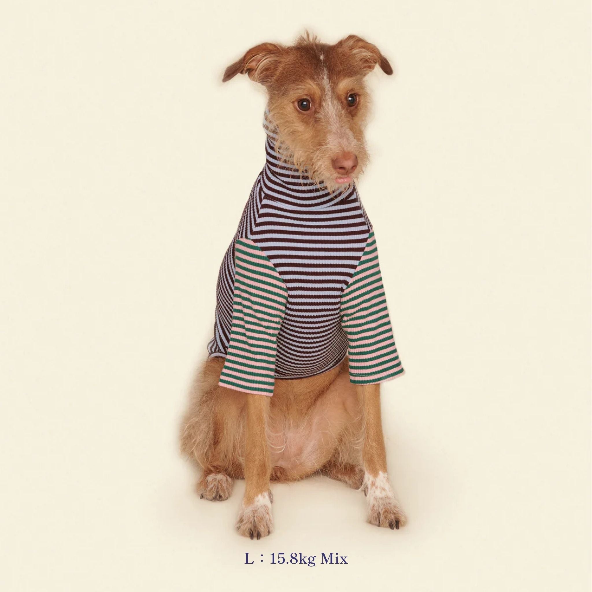 【2025新作】ストライプ リブ プルオーバー Earth and Sky / Striped sweatshirt