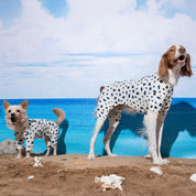 【2025新色】サマーロンパース パンサー アイボリー / Little panther cooling jumpsuit