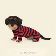 【2025年新作】ストライプ リブ ロンパース Ivy League / Striped Onesies