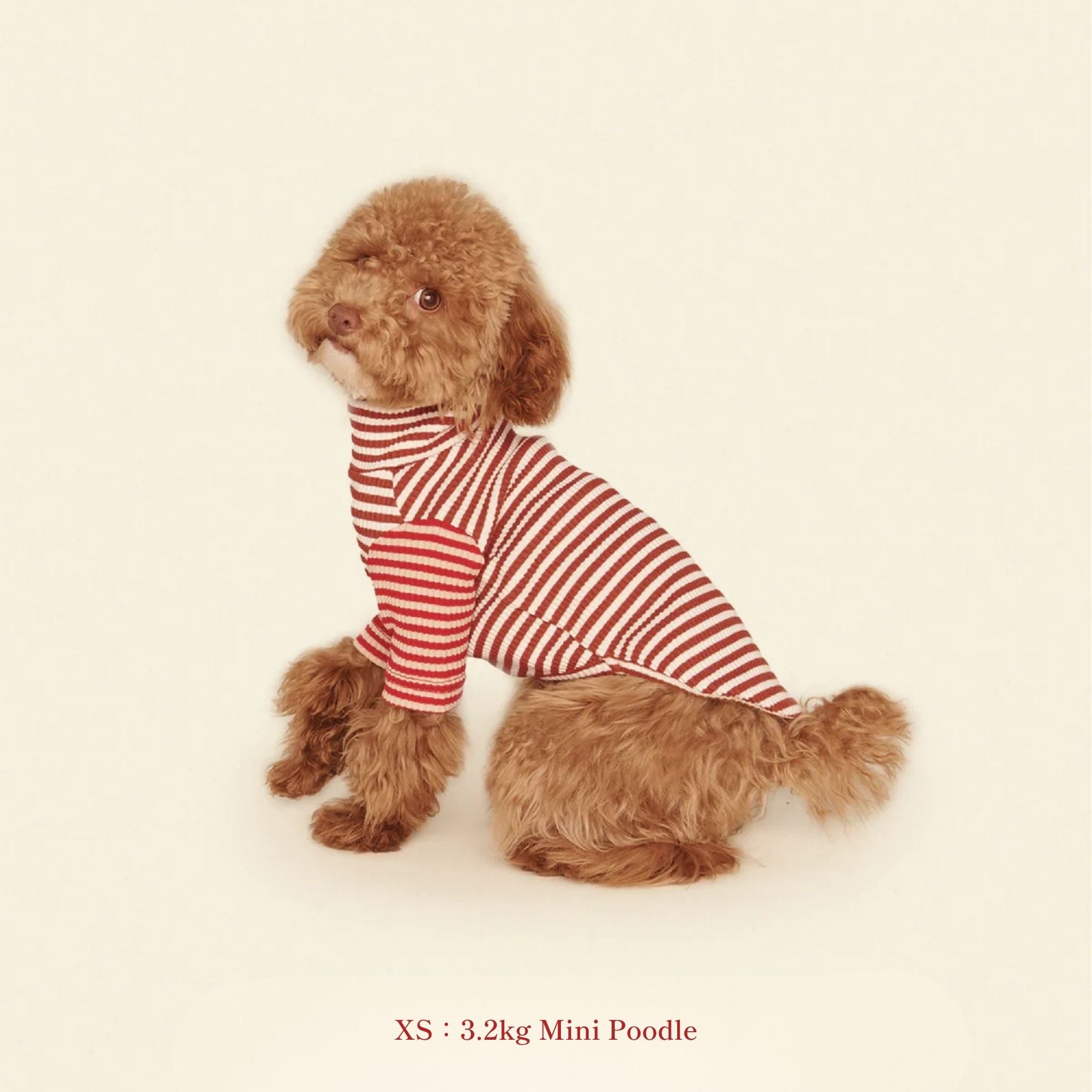 【2025新作】ストライプ リブ プルオーバー Earth and Fire / Striped sweatshirt