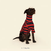 【2025新作】ストライプ リブ プルオーバー Ivy League / Striped sweatshirt