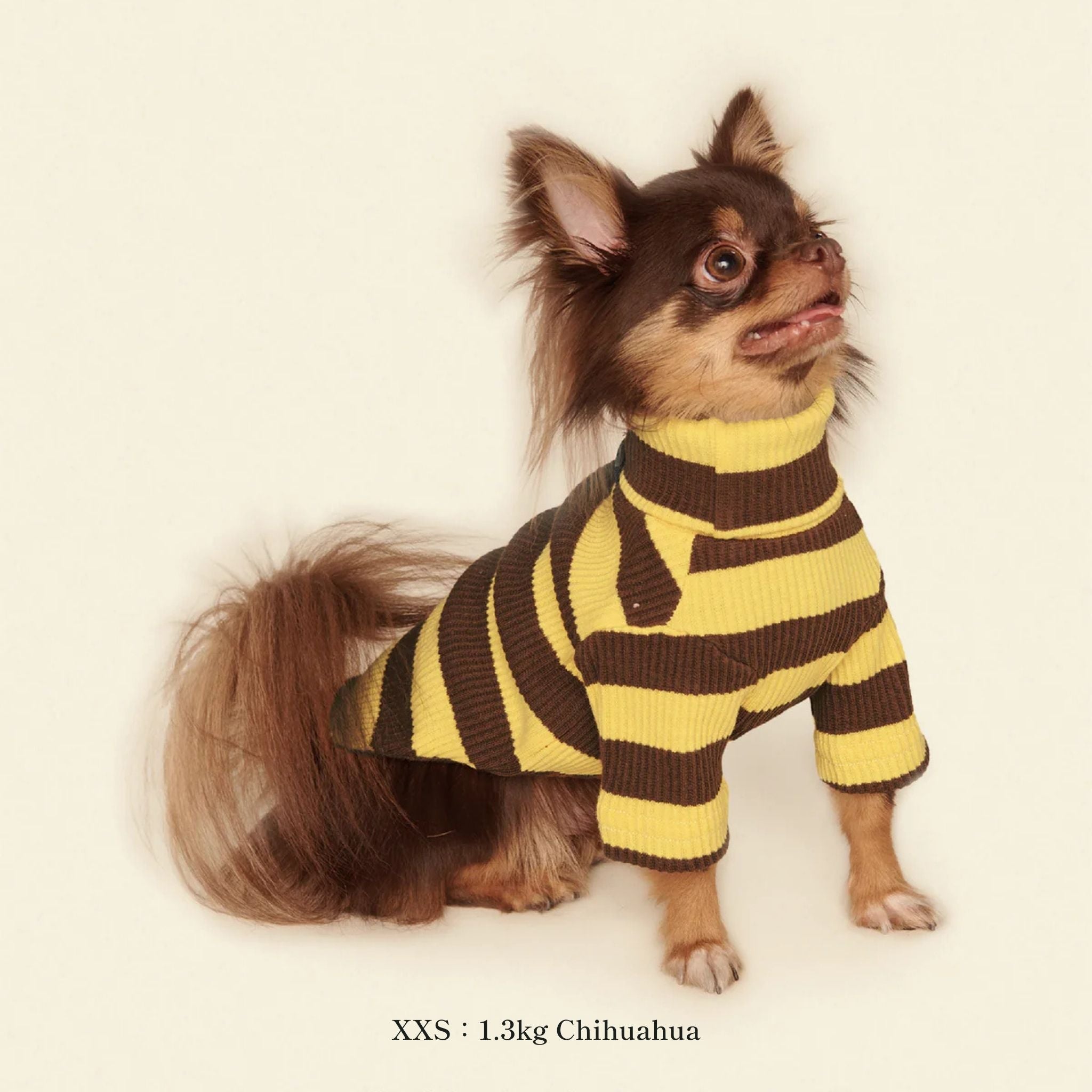 【2025新作】ストライプ リブ プルオーバー Dijon / Striped sweatshirt