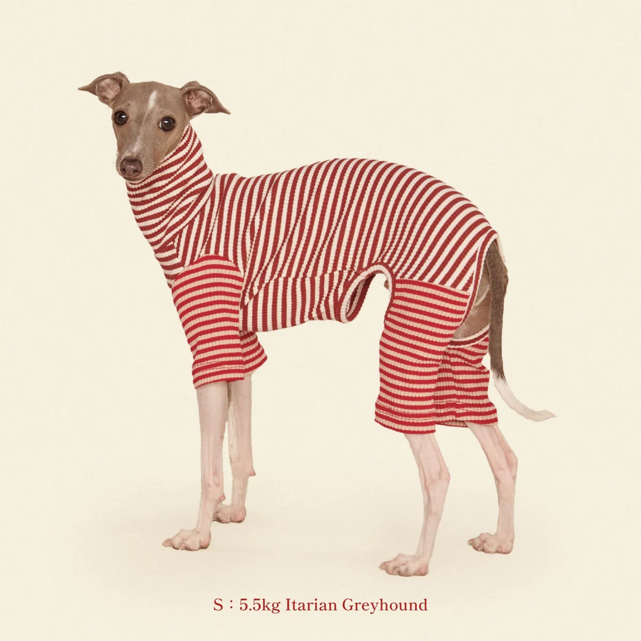 【2025年新作】ストライプ リブ ロンパース Earth and Fire / Striped Onesies